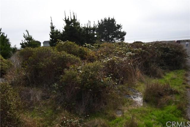 38 Coral - Photo 1