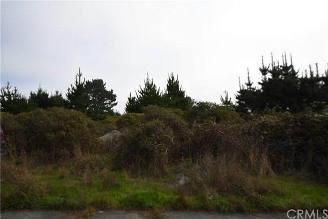 28 Coral - Photo 1