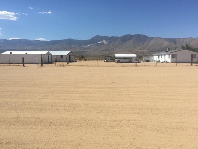 10451 Alamo Road - Photo 1