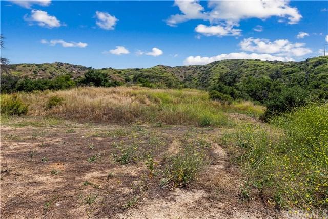 16954 Modjeska Canyon Rd. - Photo 1