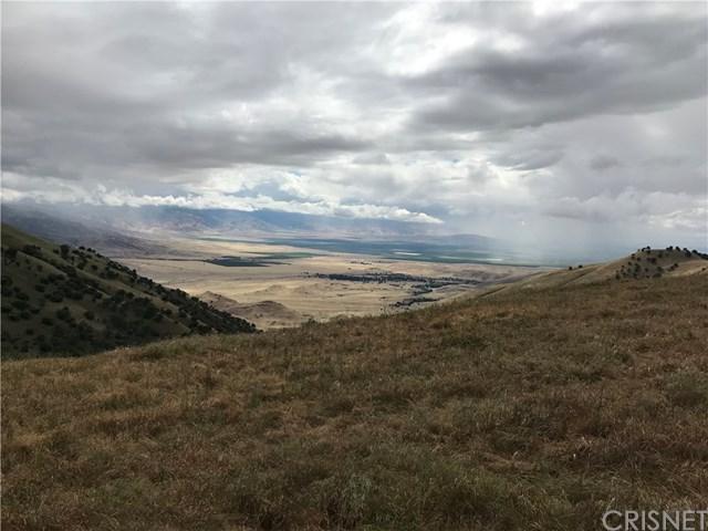 0 Tejon Drive - Photo 1