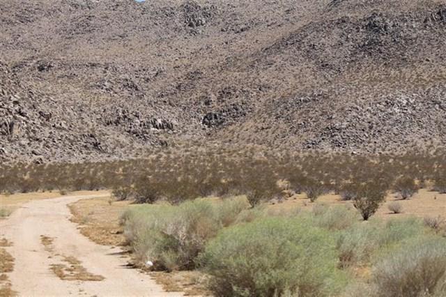 0 0 Valley Road - Photo 1