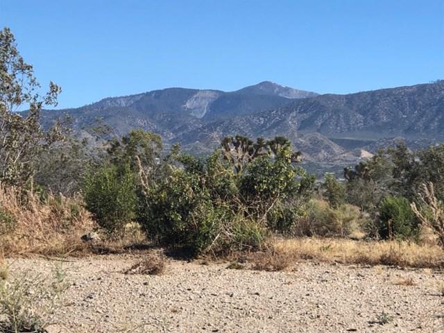 0 Bear Valley / Seville / Duncan Road - Photo 1