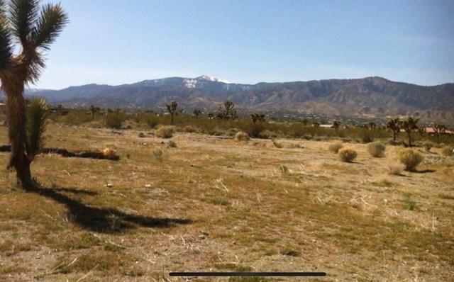 11823 Evergreen Road - Photo 1