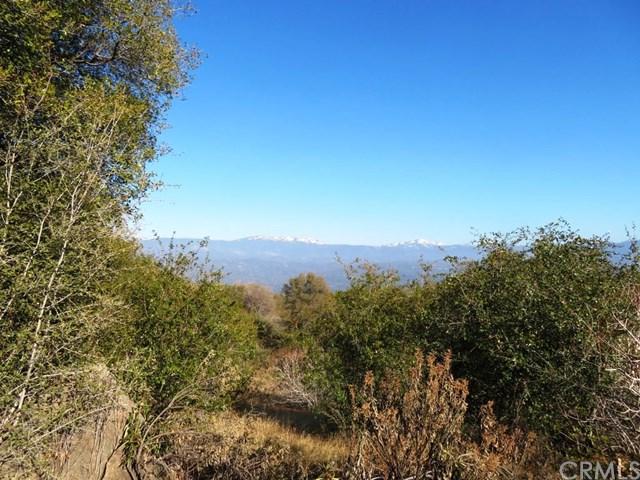 0-77.75 AC Highway 41 - Photo 1