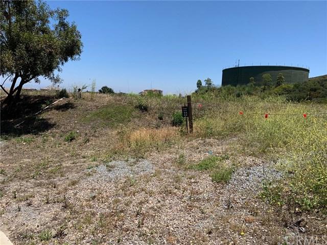 0 Avenida Manantial - Photo 1