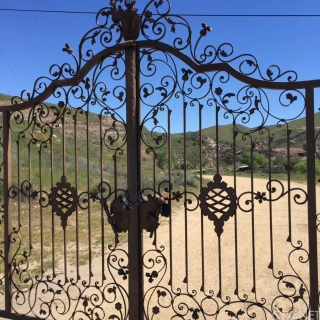 0 Agua Dulce Cyn Rd - Photo 1