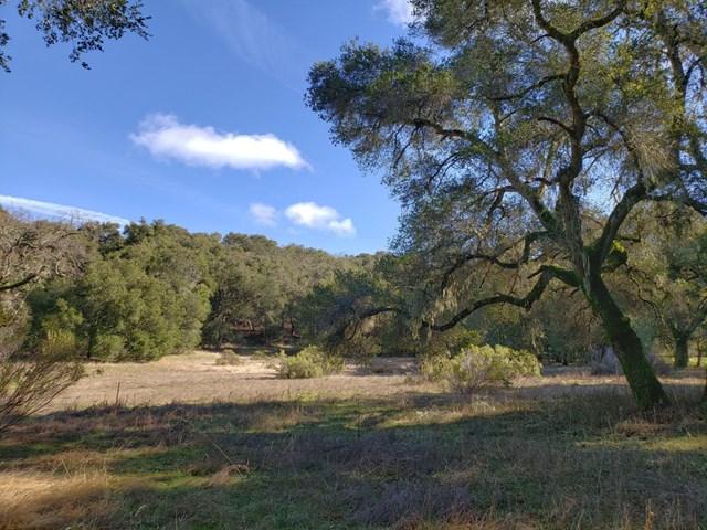 11 Arroyo Sequoia - Photo 1