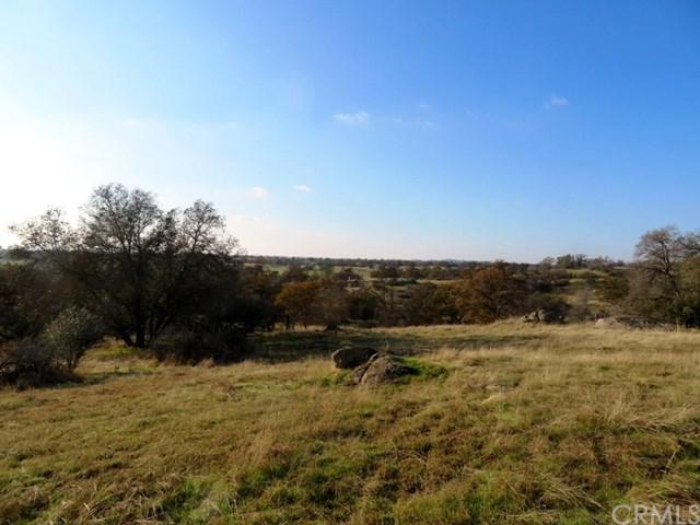 0-40.23 AC Brahman Court - Photo 1