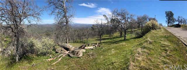 0 Lilley Mountain Drive - Photo 1