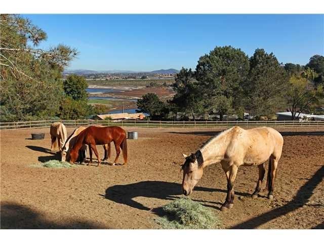 1810 San Dieguito Dr Lot 1-4 - Photo 1