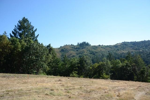 25425 Radonich Road - Photo 1