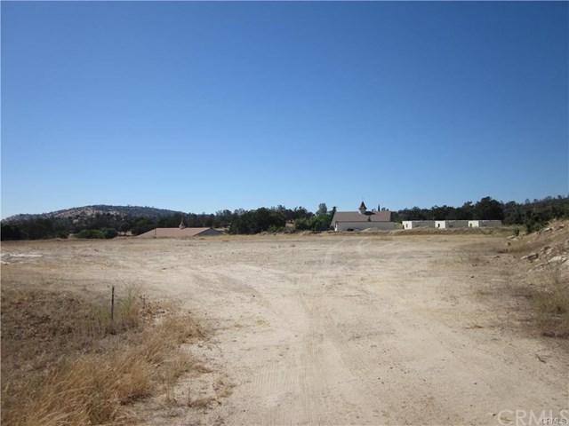 28588 Yosemite Springs - Photo 1