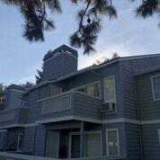 1512 Four Oaks Circle - Photo 1