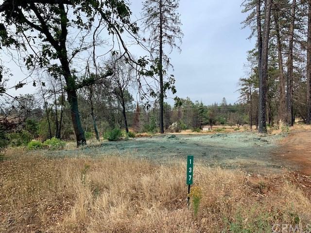 137 Coast Range Lane - Photo 1