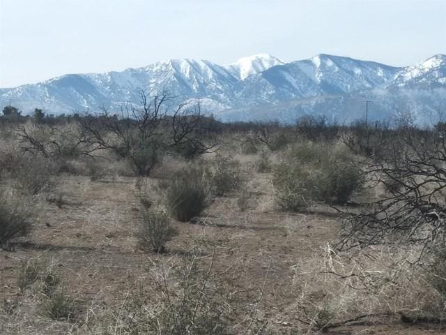 8455 El Centro Road - Photo 1