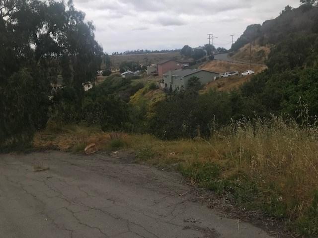 6060 Egret St - Photo 1