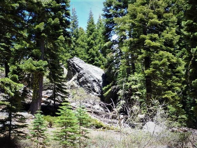 0 Highway 49 - Photo 1
