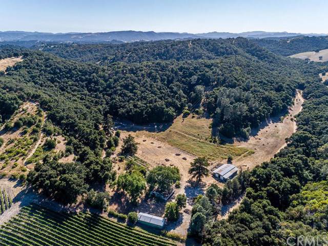 3021 Live Oak Road - Photo 1