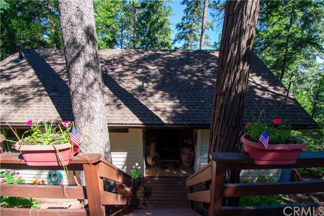 24772 Bernard Drive - Photo 1