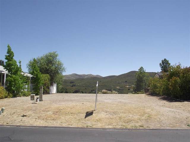35109 Highway 79 - Photo 1