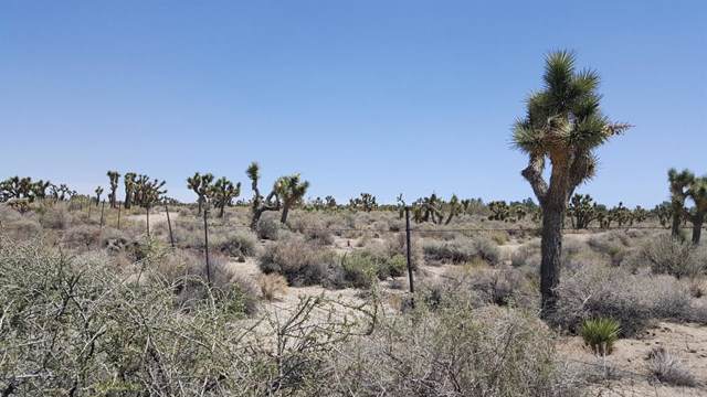 0 Rancho Road - Photo 1