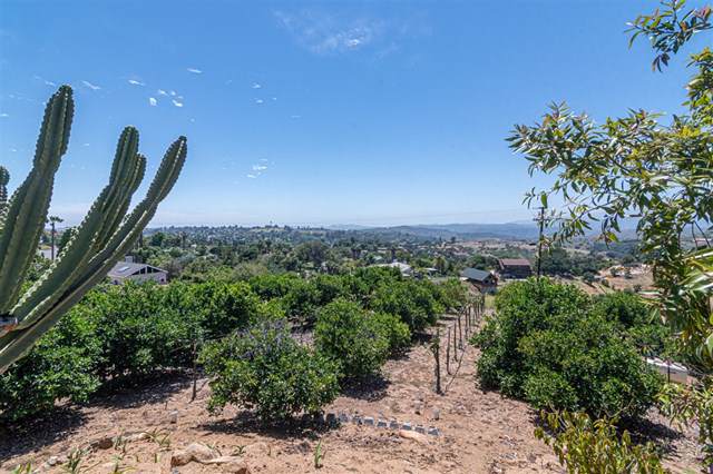 803 Quail Hill Rd - Photo 1