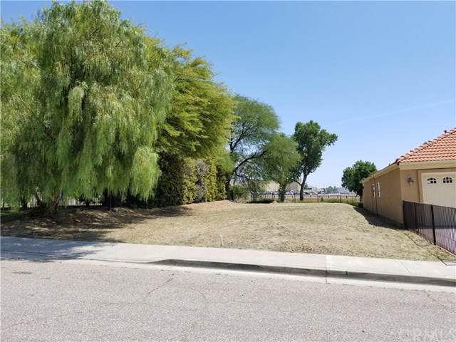1726 Carrera Drive - Photo 1