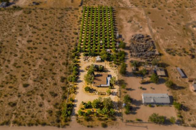 33926 Sunset Road - Photo 1