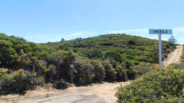 95 Topaz - Photo 1