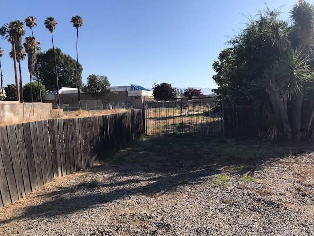3860 Megginson Lane - Photo 1