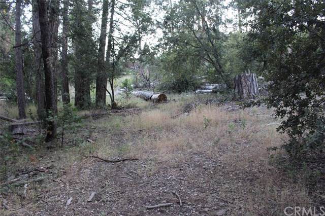 2331 Coachman Road - Photo 1
