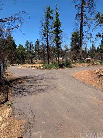 4027 Neal Road - Photo 1