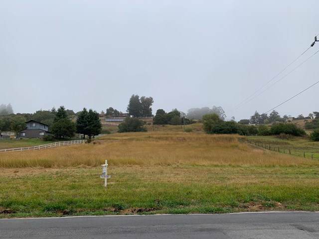 400 Larkin Valley Road - Photo 1