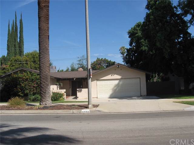 1234 Palm Avenue - Photo 1