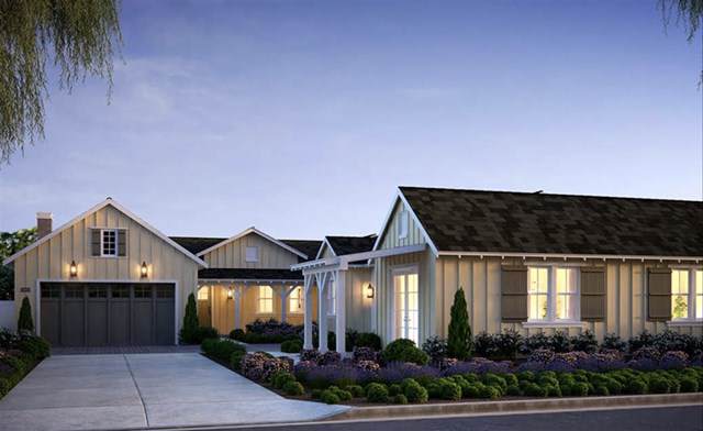 660 Camino De Orchidia - Photo 1