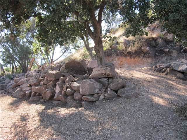 624 Oakwood Creek Glen - Photo 1