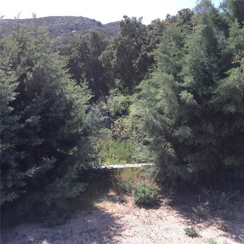 45610 Big Horn Drive - Photo 1