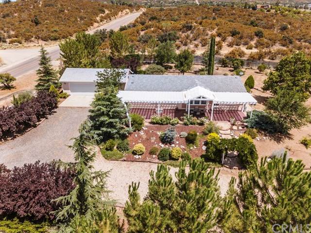 38680 Hill Street - Photo 1