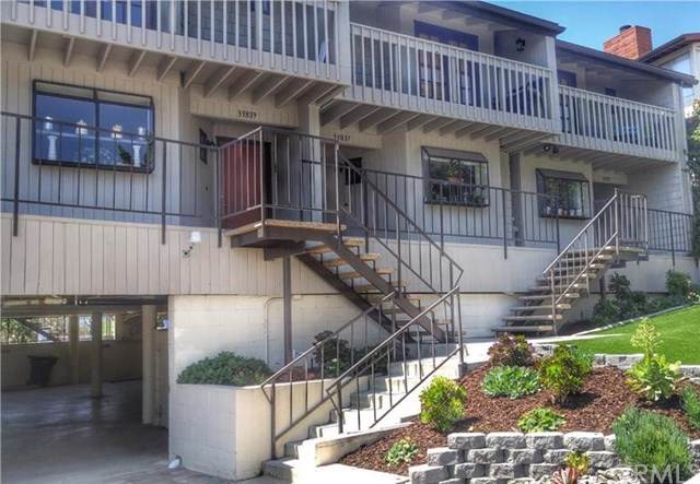 33839 Castano Drive - Photo 1