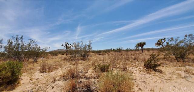 59022 Lutz Road - Photo 1