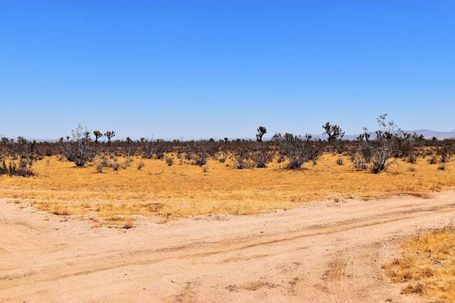 0 Mojave Road - Photo 1