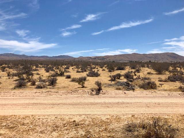 0 Del Oro Road - Photo 1