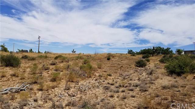 0 Pioneertown Road - Photo 1