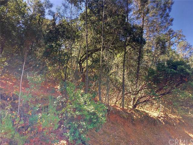 7022 Black Oak Street - Photo 1