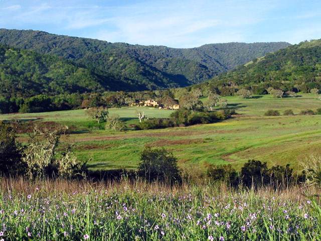89 Chamisal - Photo 1