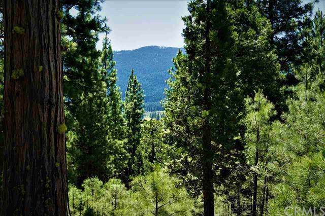 2999 Kristen Way - Photo 1