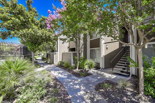 2664 Senter Road - Photo 1