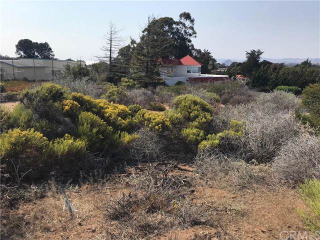 2255 Bayview Heights Drive - Photo 1