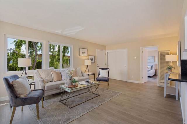 3049 Los Prados Street - Photo 1